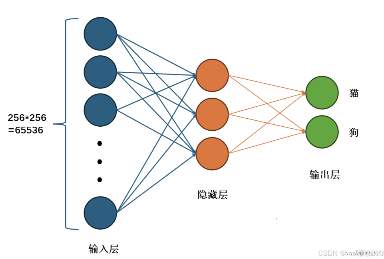 Introduction to Neural Networks & Architecture Introduction to Neural Networks & Architecture