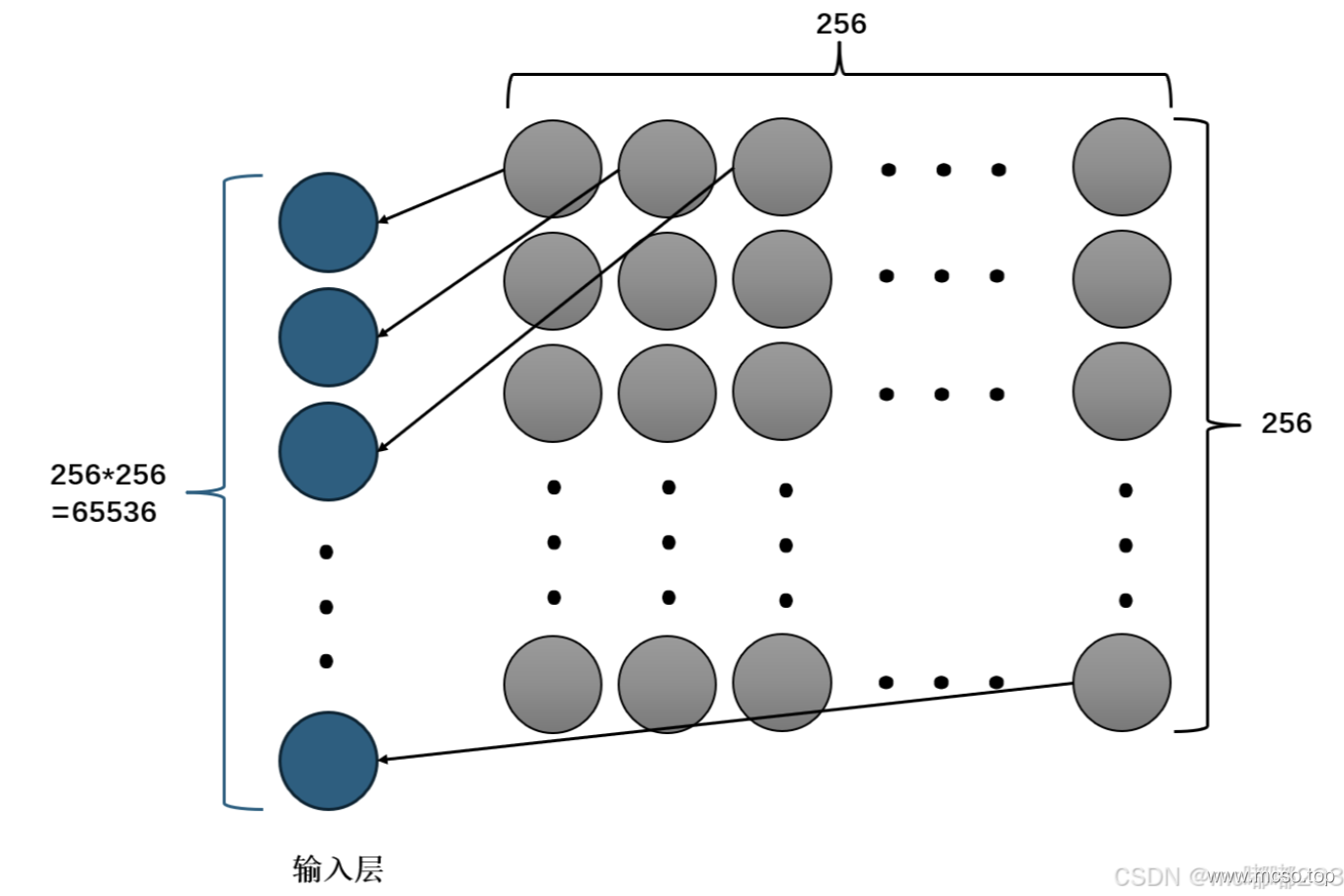 Introduction to Neural Networks & Architecture Introduction to Neural Networks & Architecture