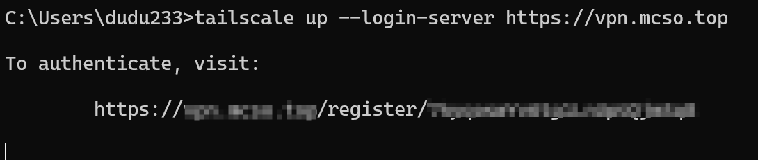 Tailscale + Headscale 部署 VPN 实现异地组网 (WireGuard)
