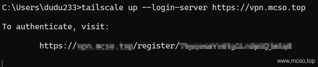 Tailscale + Headscale 部署 VPN 实现异地组网 (WireGuard)