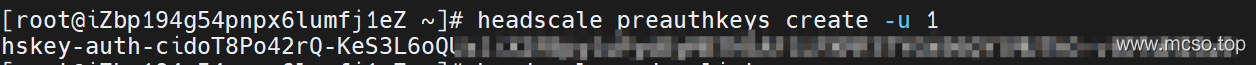 Tailscale + Headscale 部署 VPN 实现异地组网 (WireGuard)