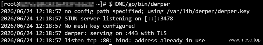 Tailscale + Headscale 部署 VPN 实现异地组网 (WireGuard)